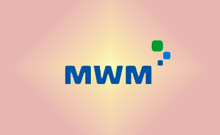✓ MWM 0403 0428 Запчасть MWM 